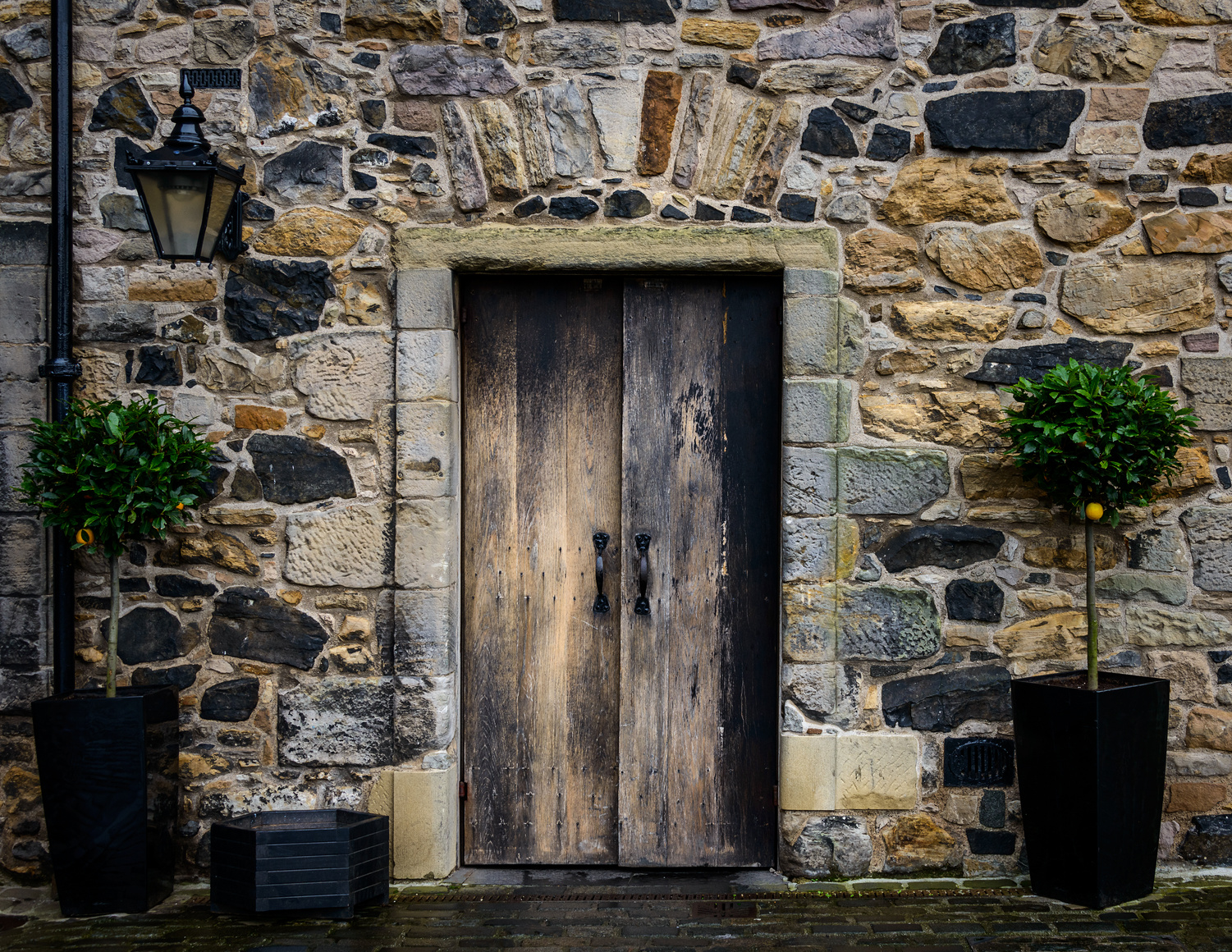 Wooden Door